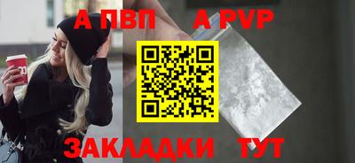 крисы Кингисепп