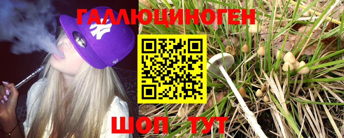 Псилоцибиновые грибы Psilocybe  Вход с VPN  Галлюциногенные грибы MAGIC MUSHROOMS  Россия 